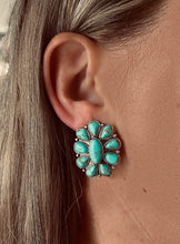 Sedona Necklace/Earring Set