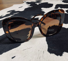 Brown Big Sunglasses